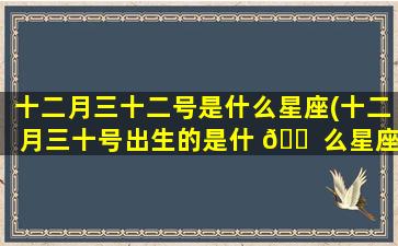 十二月三十二号是什么星座(十二月三十号出生的是什 🐠 么星座)